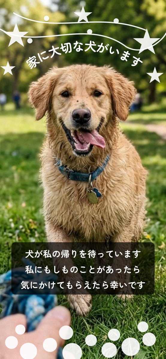 オキエイコ tweet media