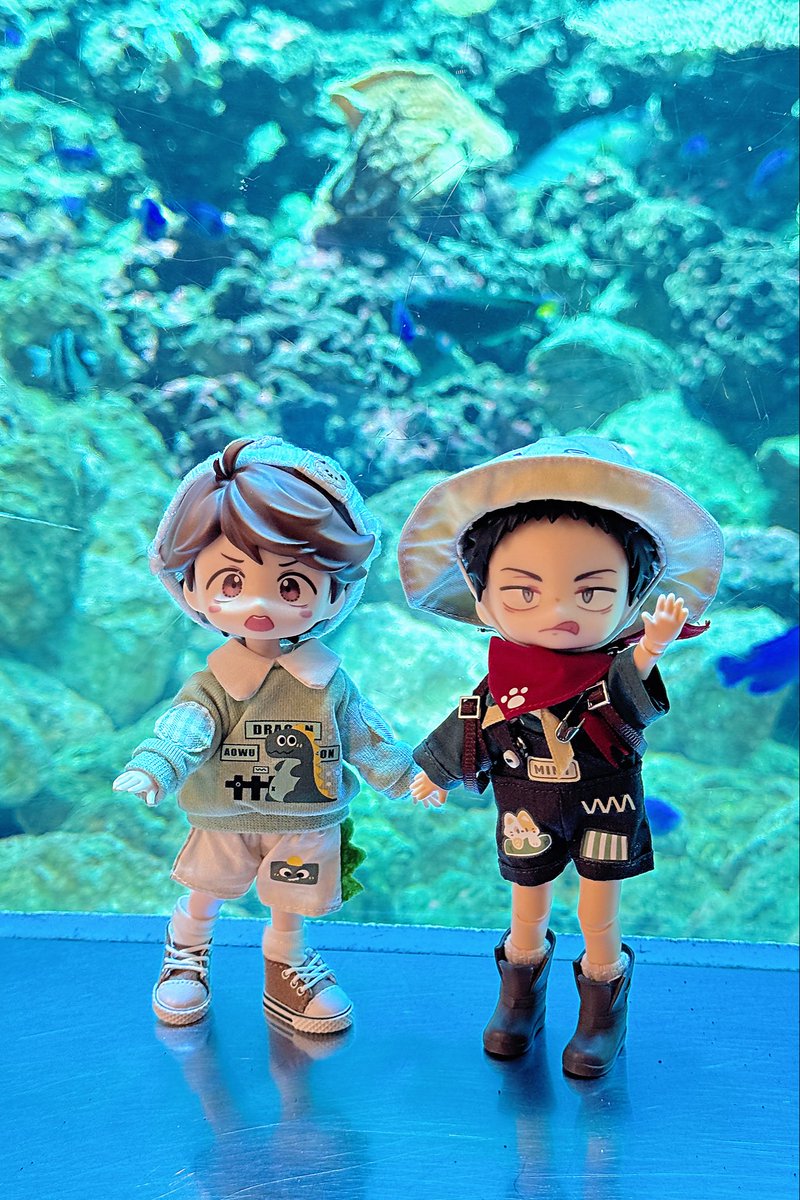 cang8909's tweet photo. 水族館に遊びに行った https://t.co/KaWlXdjOoB
