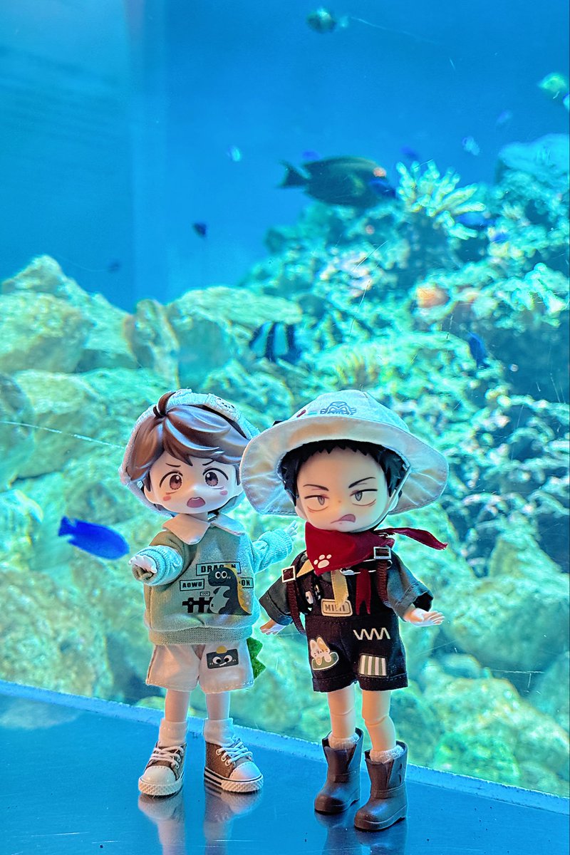 cang8909's tweet photo. 水族館に遊びに行った https://t.co/KaWlXdjOoB