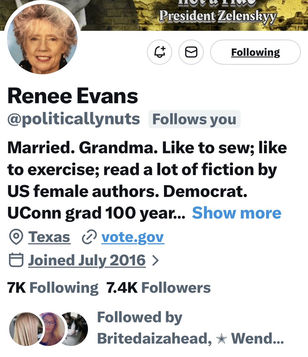 Turquoise Cat tweet media