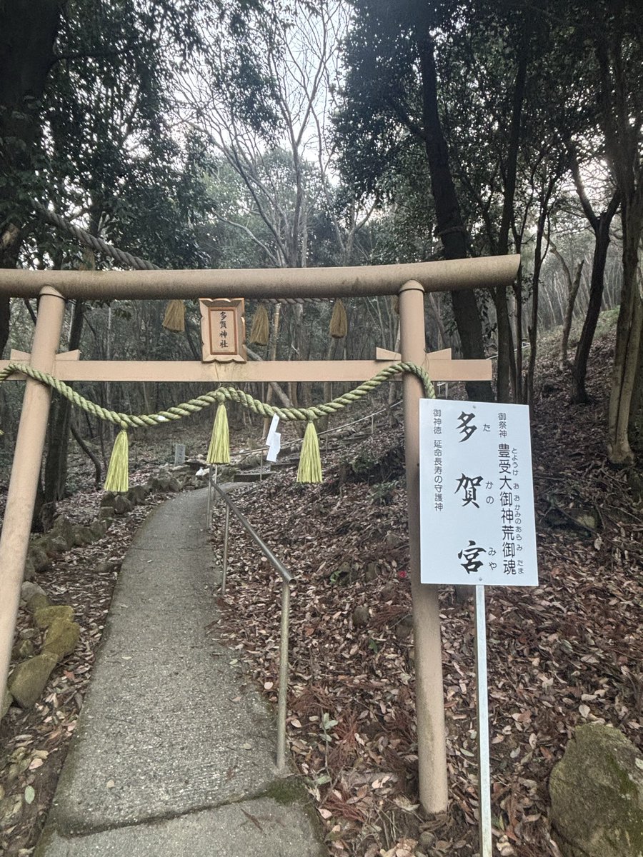 ⭐︎烈音🦊レオン3588∞⭐︎🦉🛸 🌙 tweet media