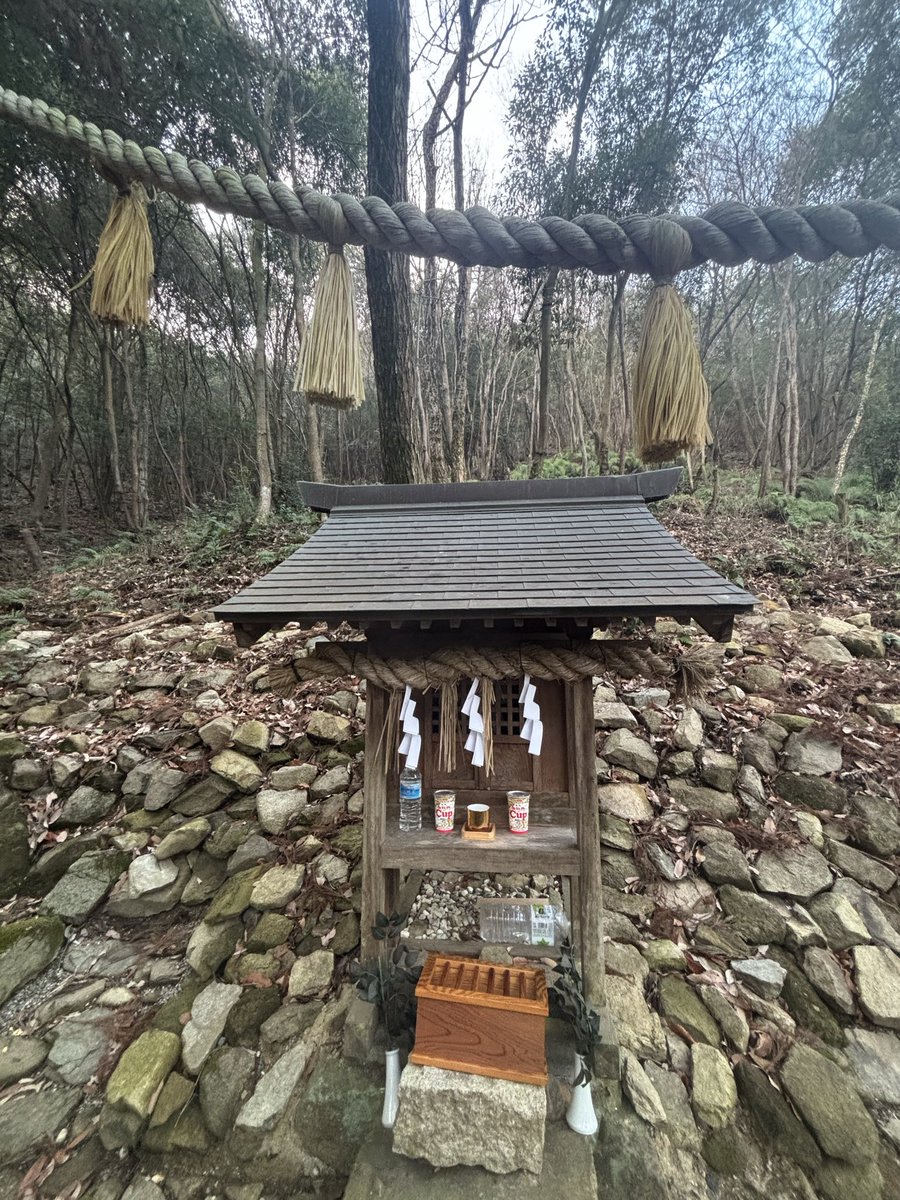 ⭐︎烈音🦊レオン3588∞⭐︎🦉🛸 🌙 tweet media