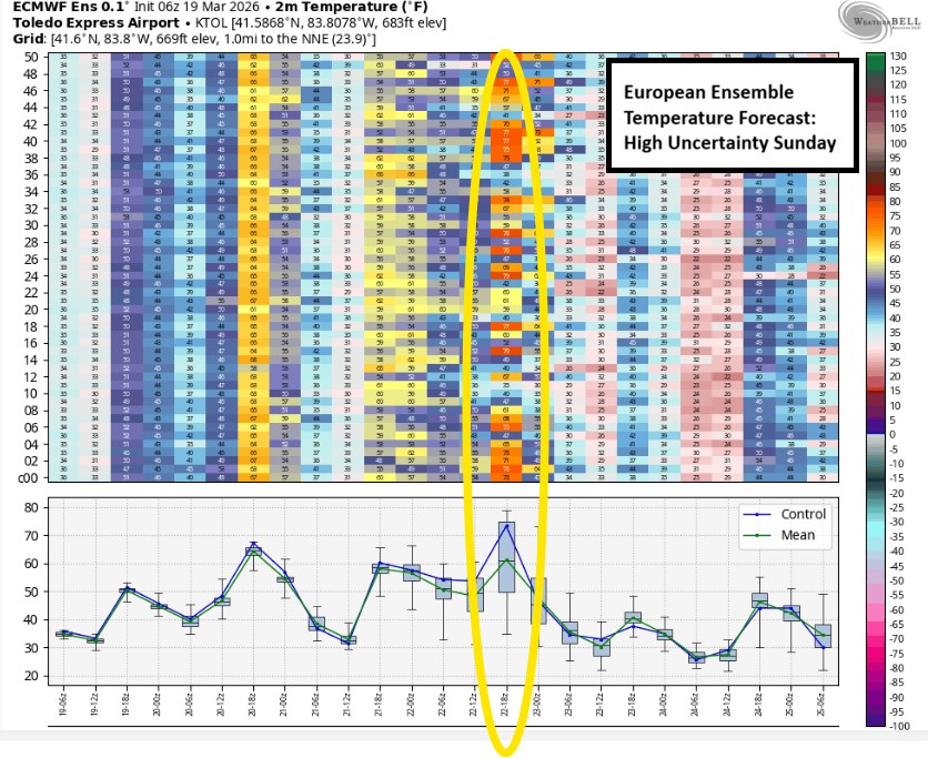 13 Action News tweet media
