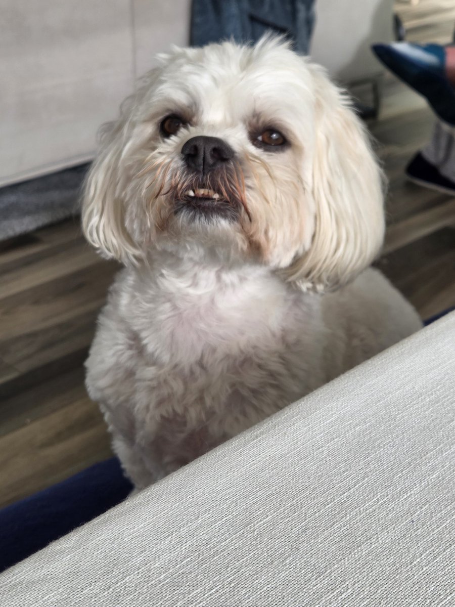 Expat_Matt tweet media