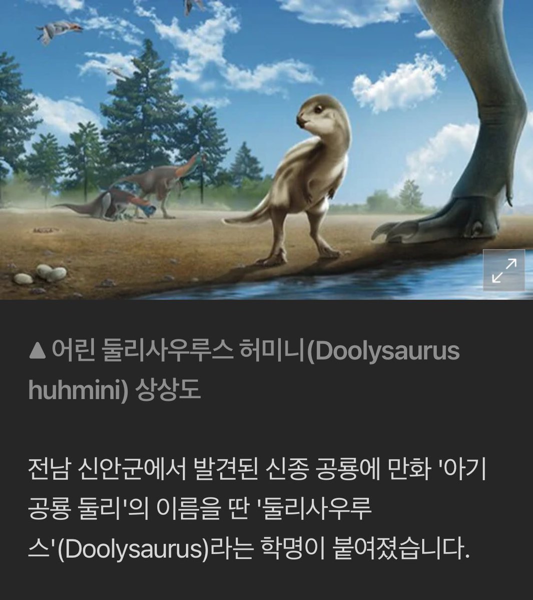 전남 신안에서 발견된 신종 공룡 학명을
둘리사우루스라고 지었다는데
사진보고 바로 납득했음 ㅠㅠ ㅋㅋㅋㅋ
귀여워