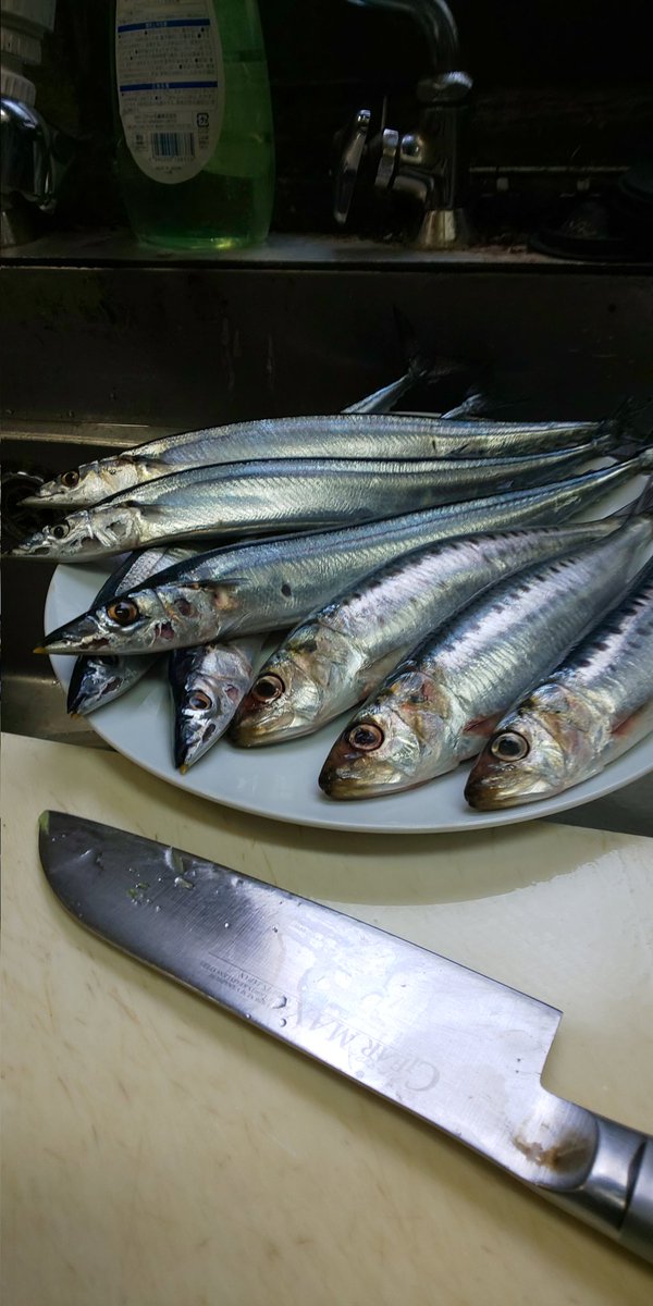 味ん輝(ミンキ) tweet media