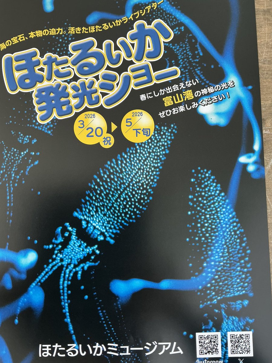 ほたるいかミュージアム　ナピカ［ほたるいかミュージアム公式キャラクター］ tweet media