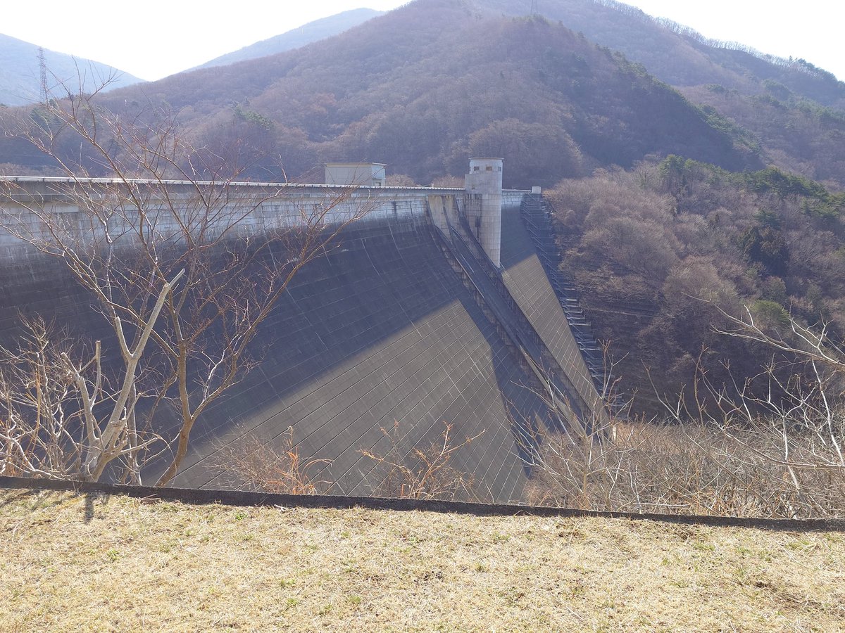 カトー tweet media