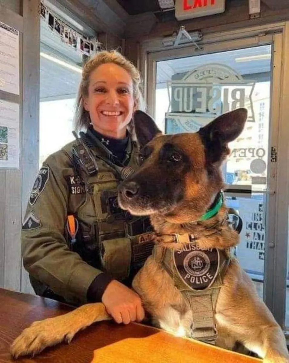 PawVibe 🐾 tweet media