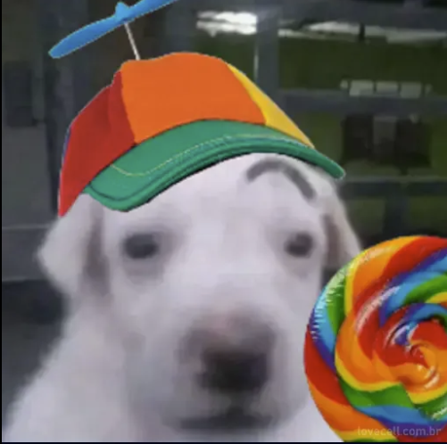 LOUD Bubi✨ tweet media