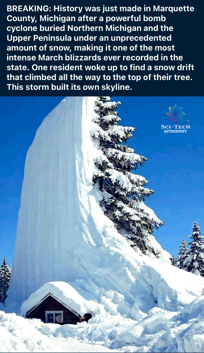 ᵏⁱᵗ㉿𝔅𝔞𝔯𝔬𝔫𝔢𝔰𝔰.ᶜᶜ 「🦀」 킷.ˢᵘⁱ🦑 tweet media