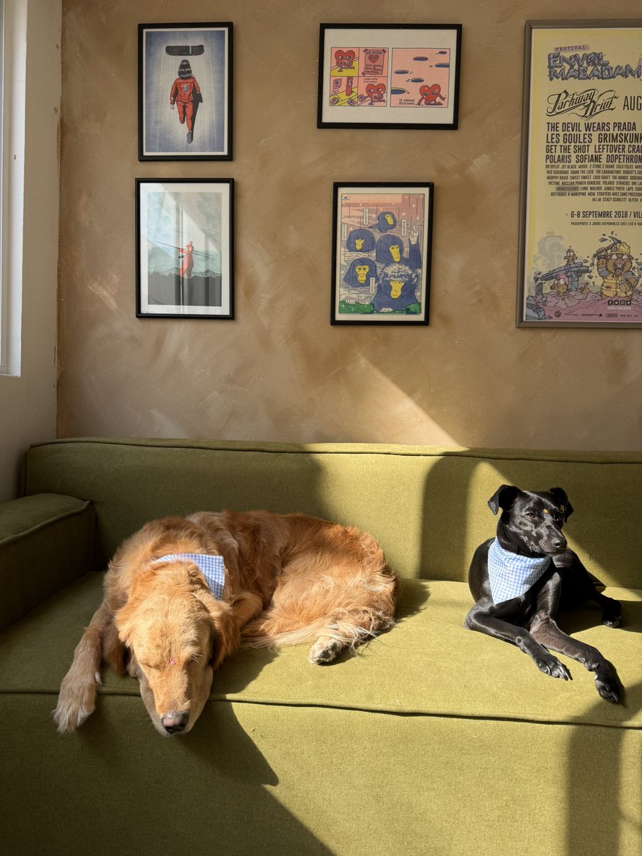 Rebi 🐀 tweet media