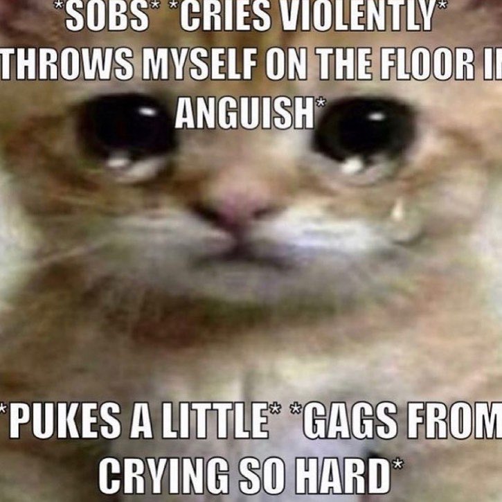 ๐๐๐๐๐ ๐๐๐๐ถ tweet media