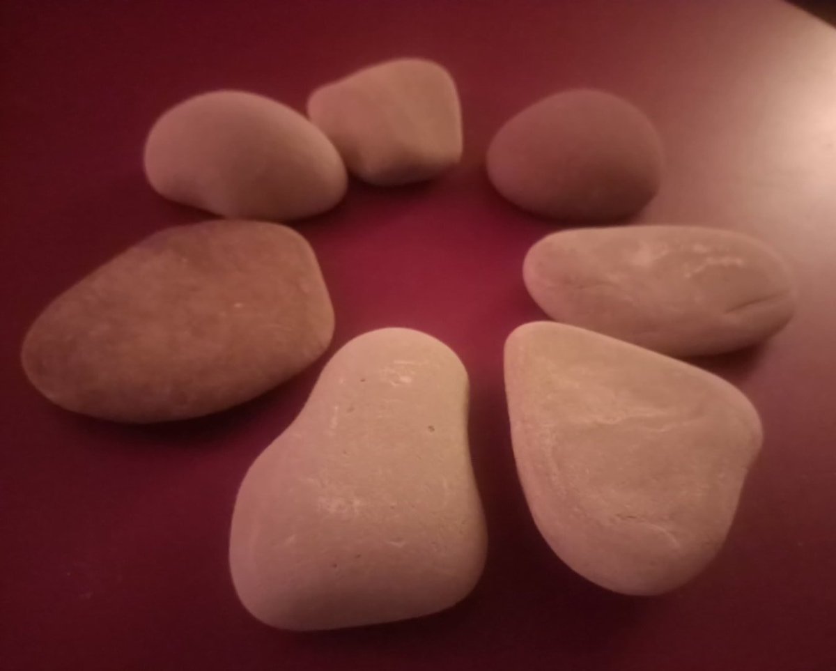 🦌❄️🌲 tweet media