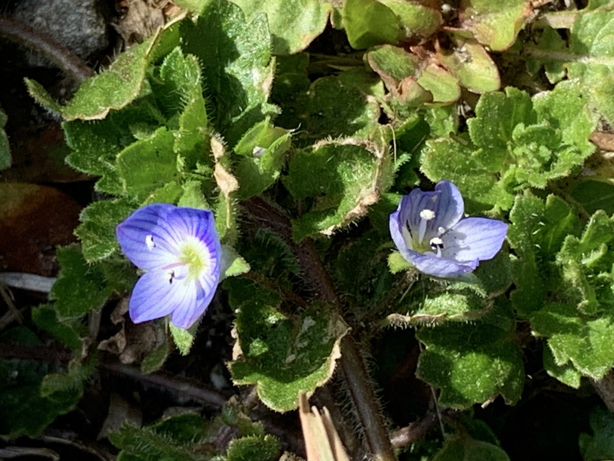 こまり tweet media