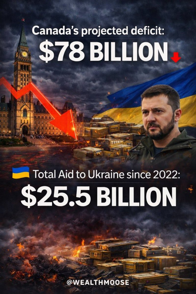 wealthmoose tweet media