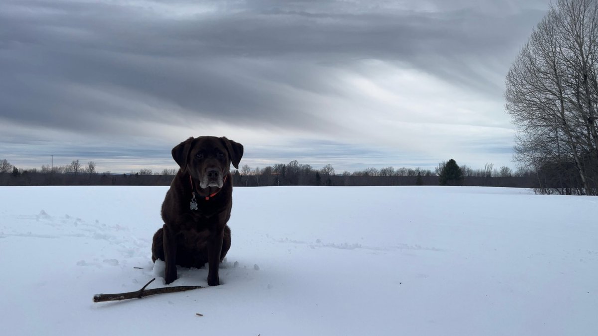 Willie D in da UP tweet media