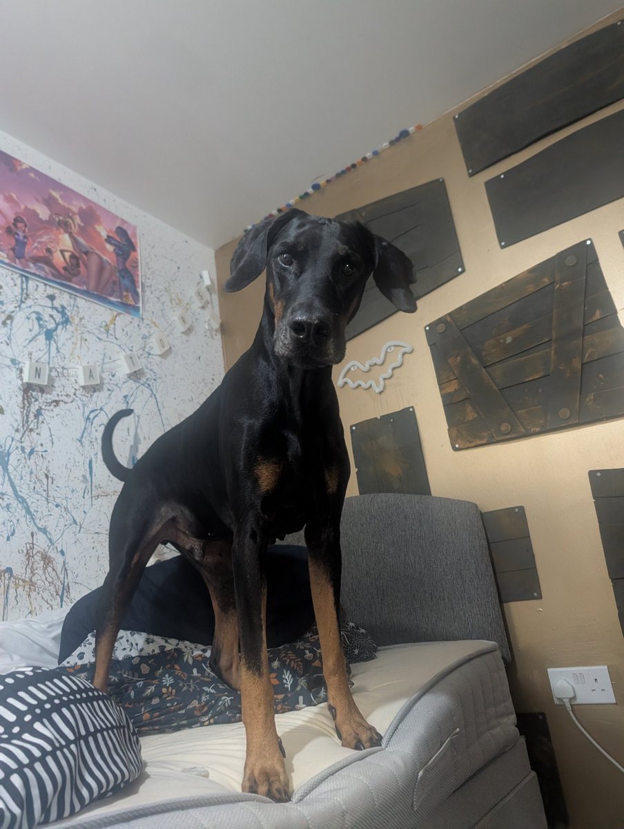 JadeLlew tweet media