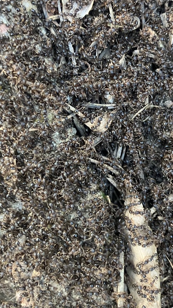 Former Fetus tweet media