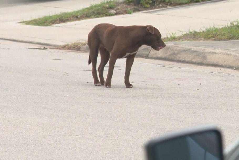 News 4 San Antonio tweet media