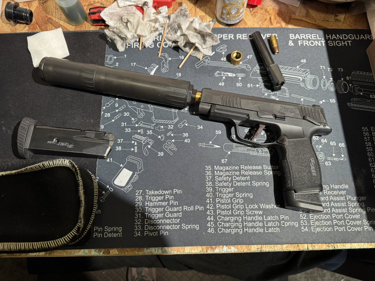 Chickens and Mentals Caretaker tweet media