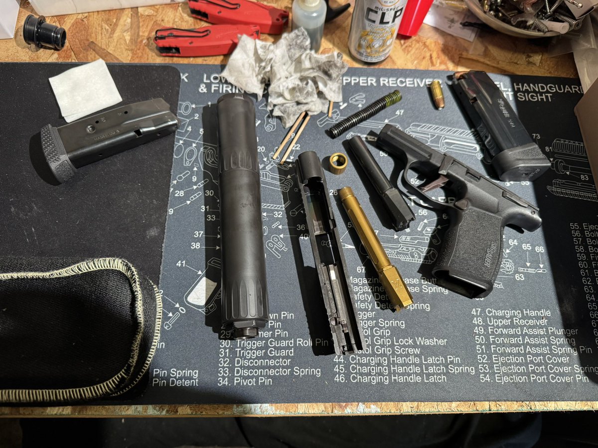 Chickens and Mentals Caretaker tweet media