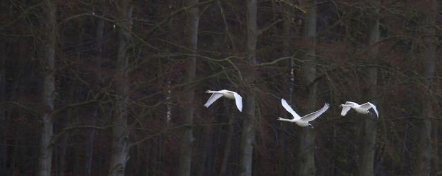 Hazel ✨ tweet media