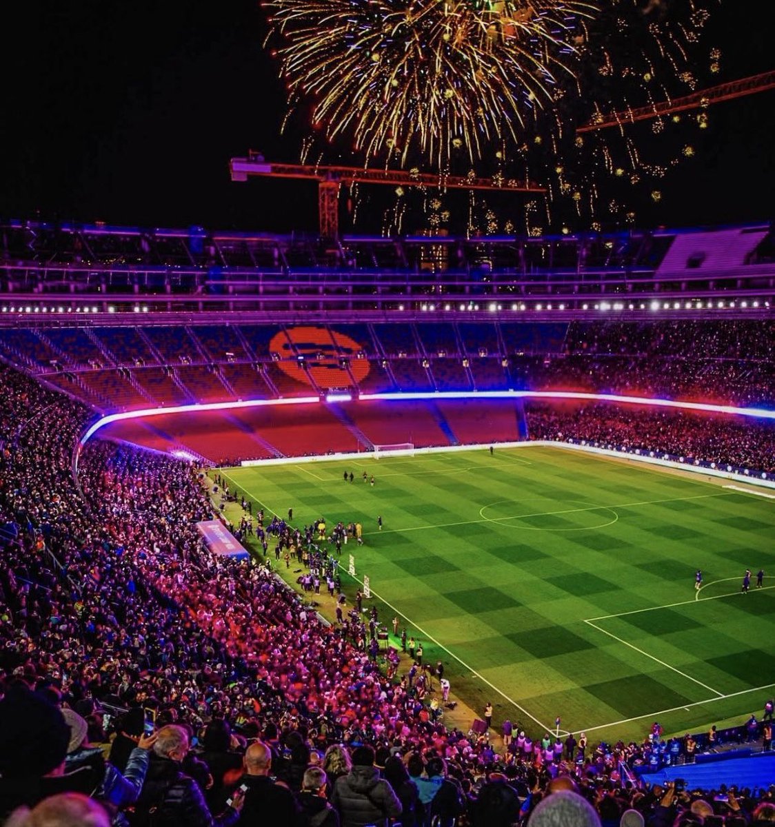 𝘿𝙉𝘼 𝘽𝙇𝘼𝙐𝙂𝙍𝘼𝙉𝘼 🧬🇧🇷 tweet media