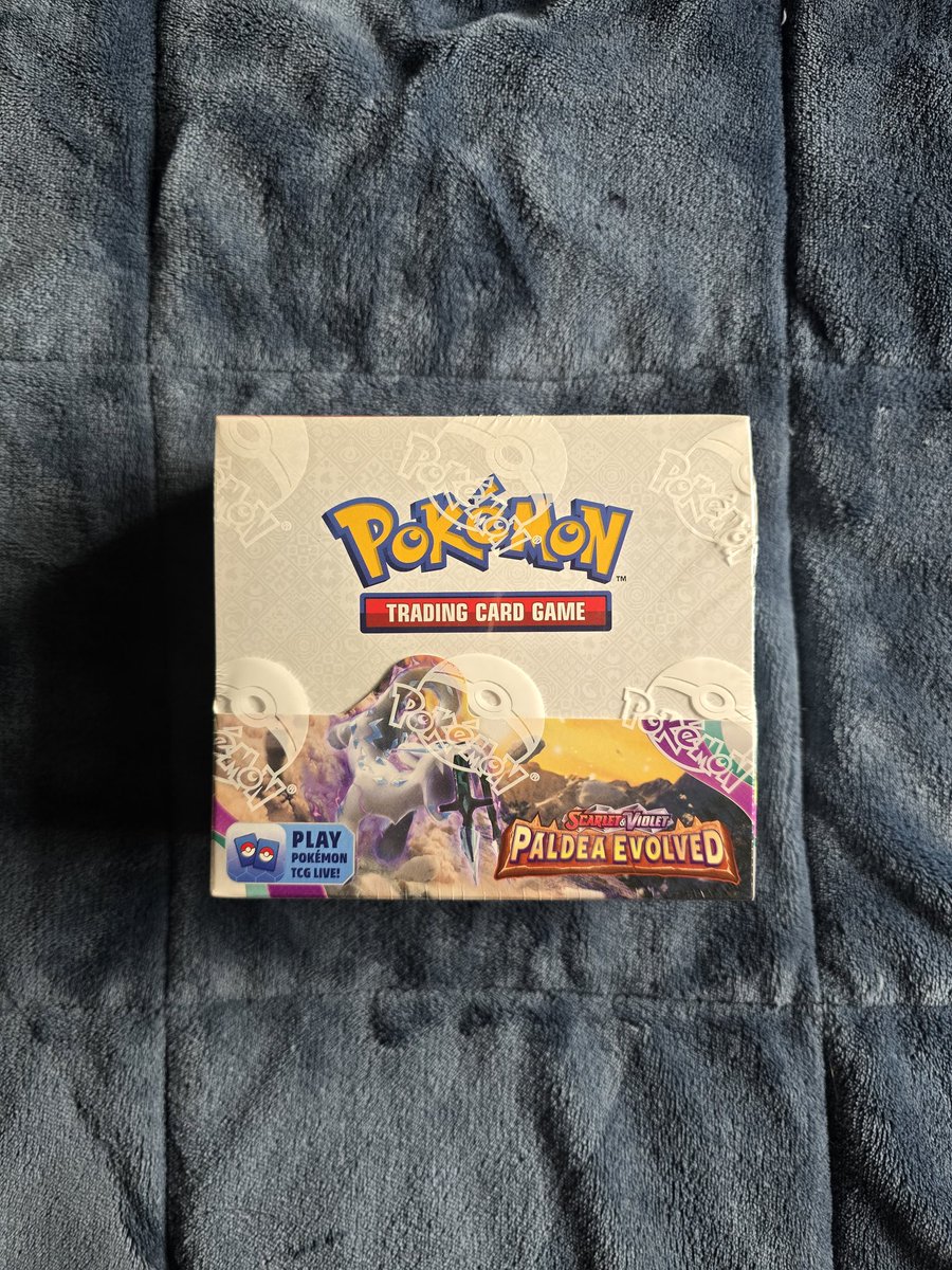 Bumble🇳🇿 tweet media