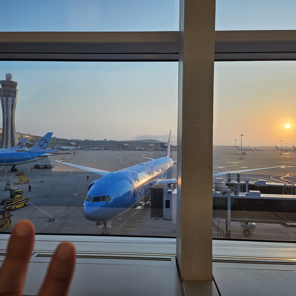 파슬리 parsley🗽🇰🇷🇺🇲 tweet media