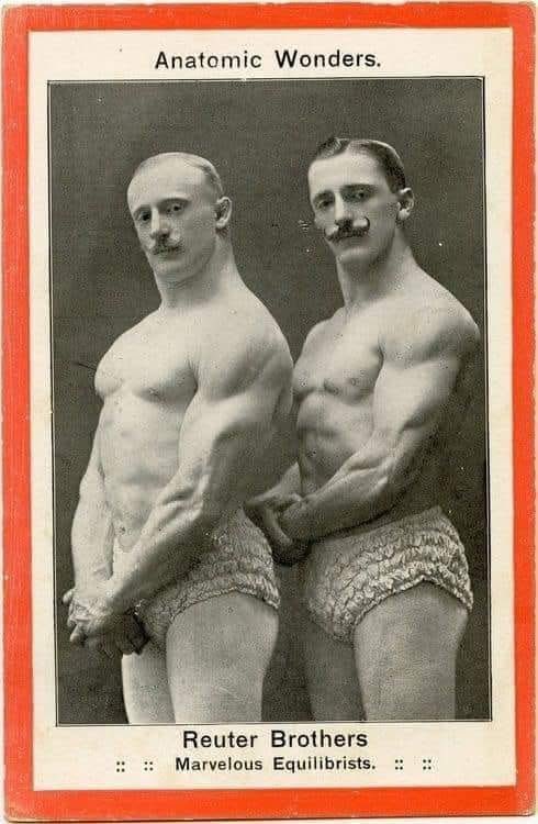 Death Cabbage tweet media