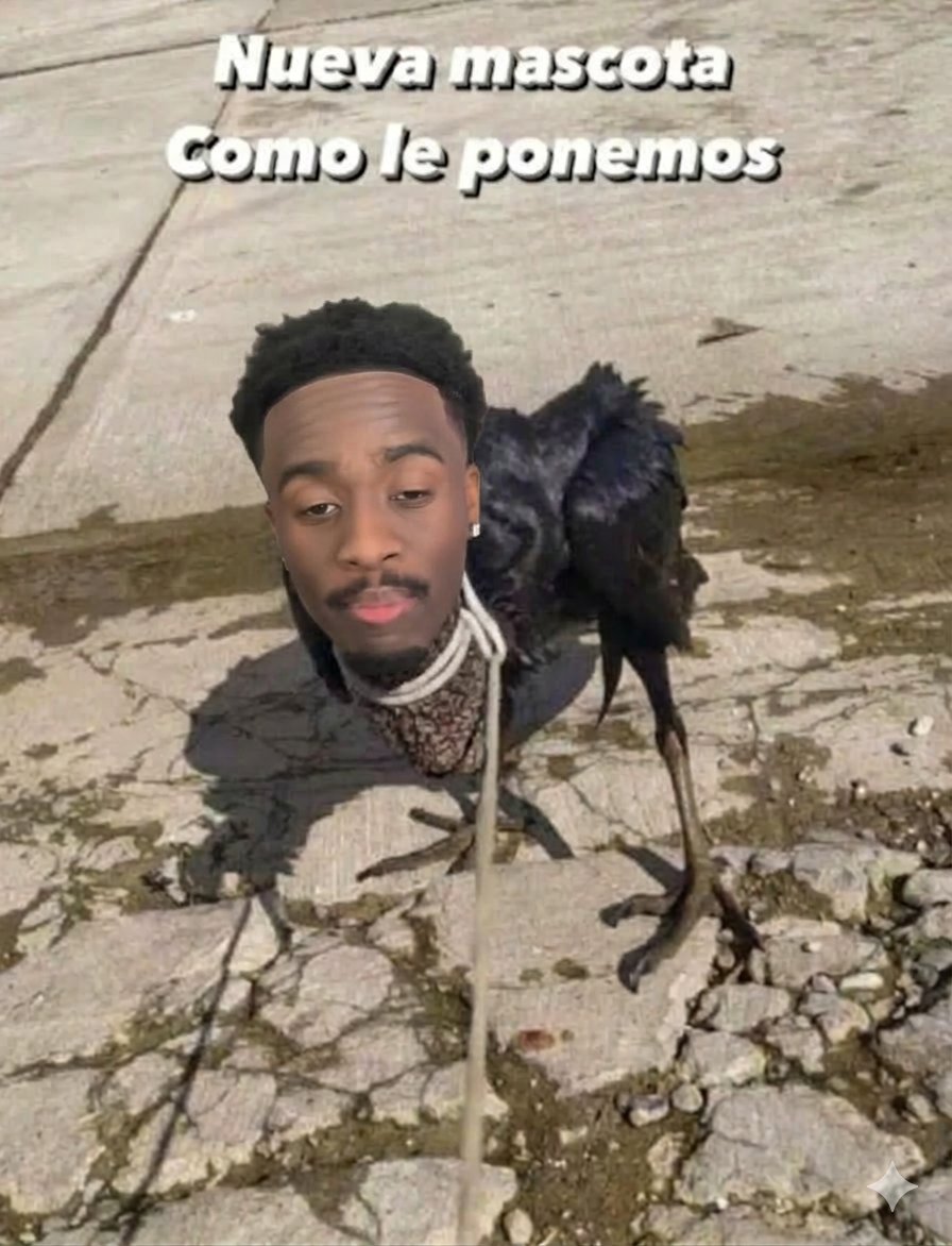 Spanky 🦇 tweet media