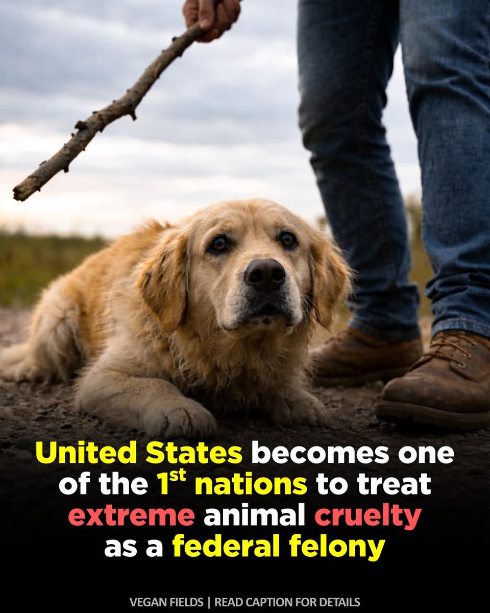 Rene Tremblay 🚫No Dms🇨🇦🇺🇦 tweet media