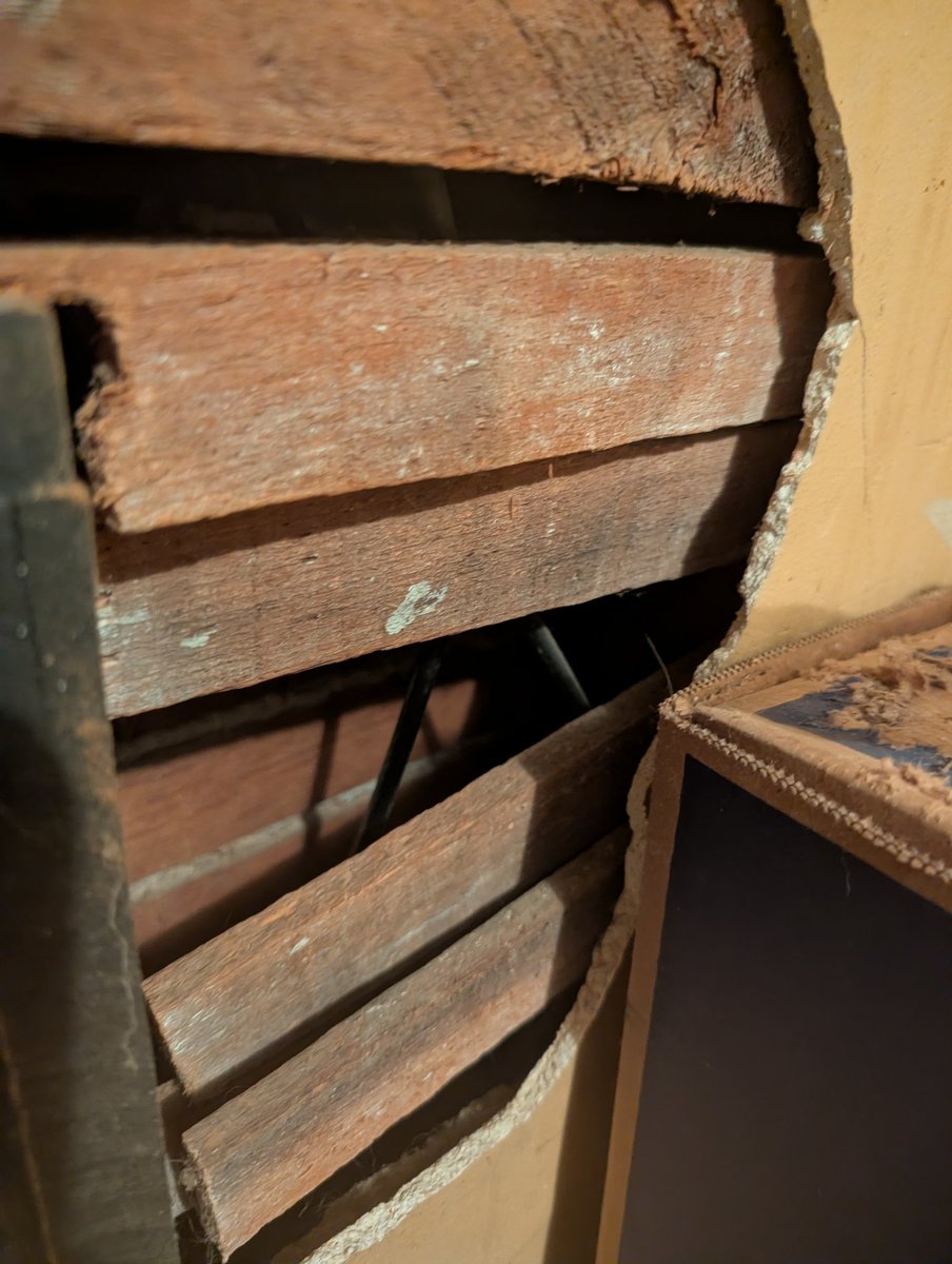 ༻ Subspace ⛦ Domino ༺ tweet media