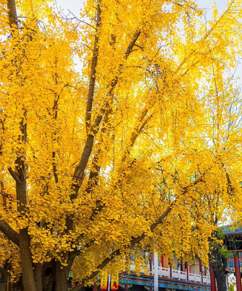 Mic Vision tweet media