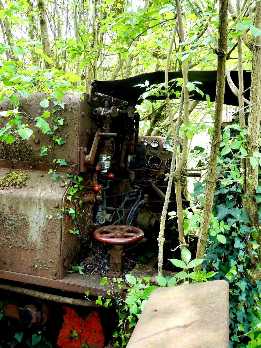 Barbara Atterson tweet media