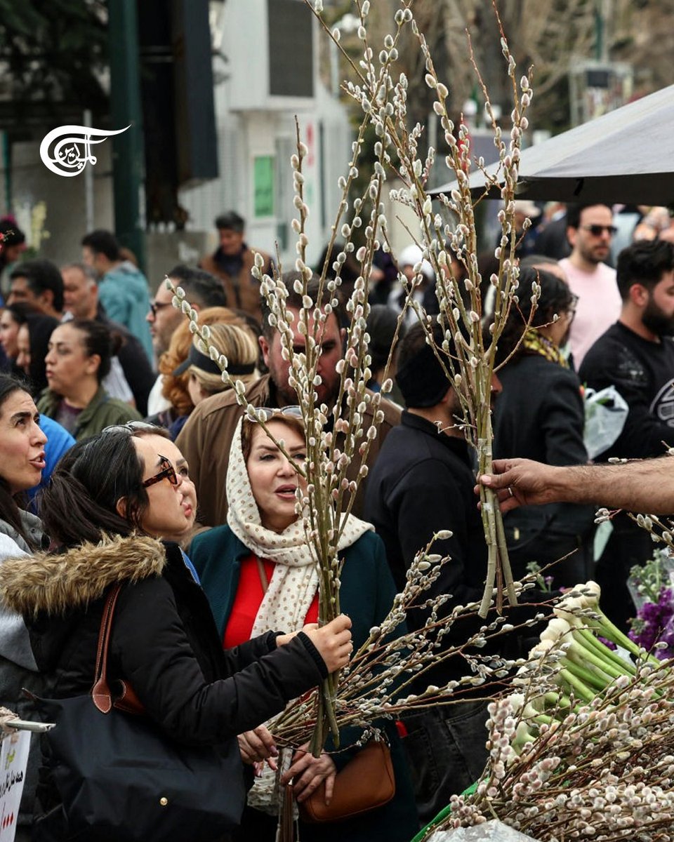 Al Mayadeen English tweet media