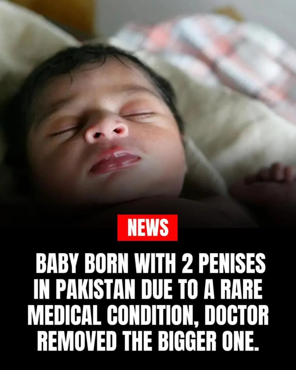 💲🆆𝐞ｅ𝒕 𝙏🅱️🄹 tweet media