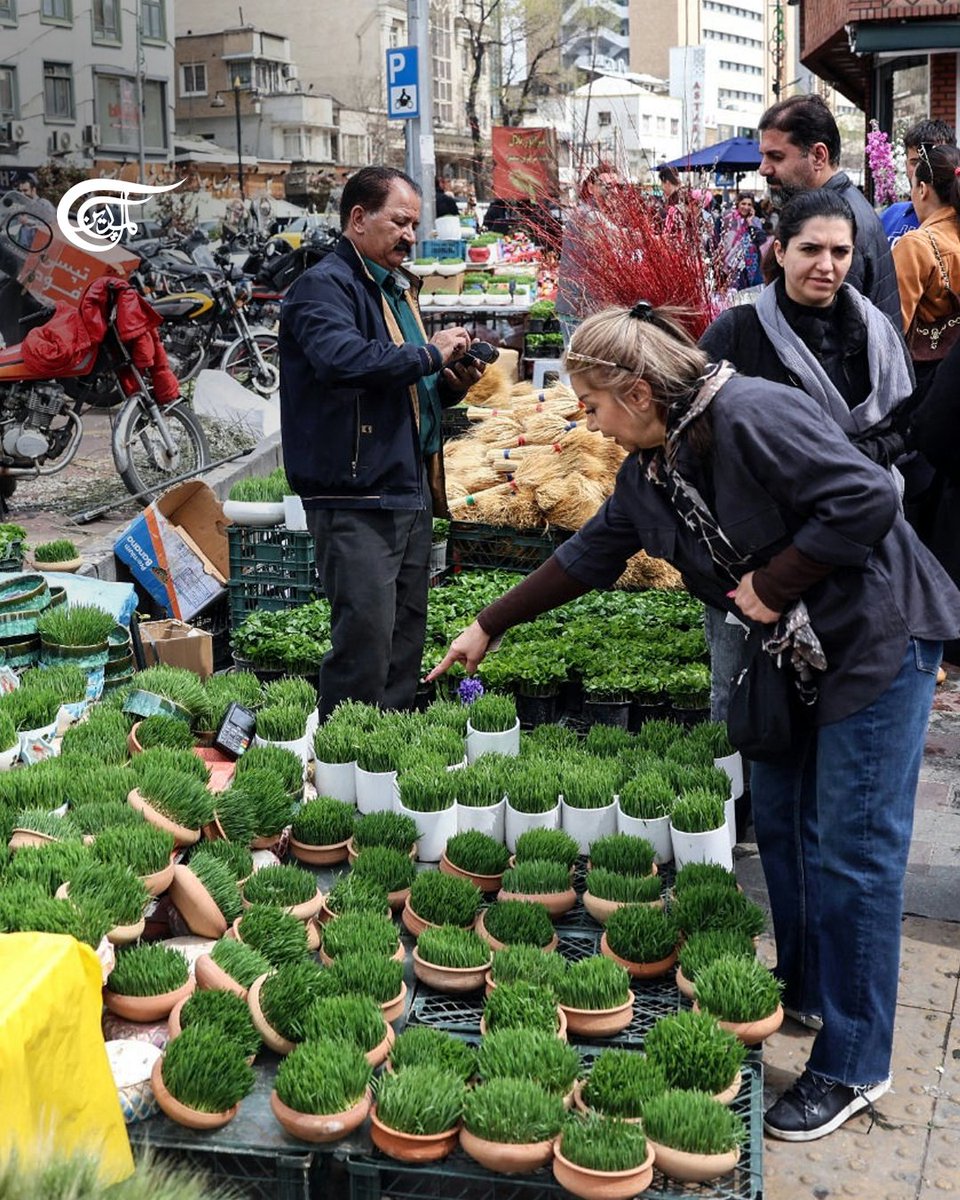 Al Mayadeen English tweet media