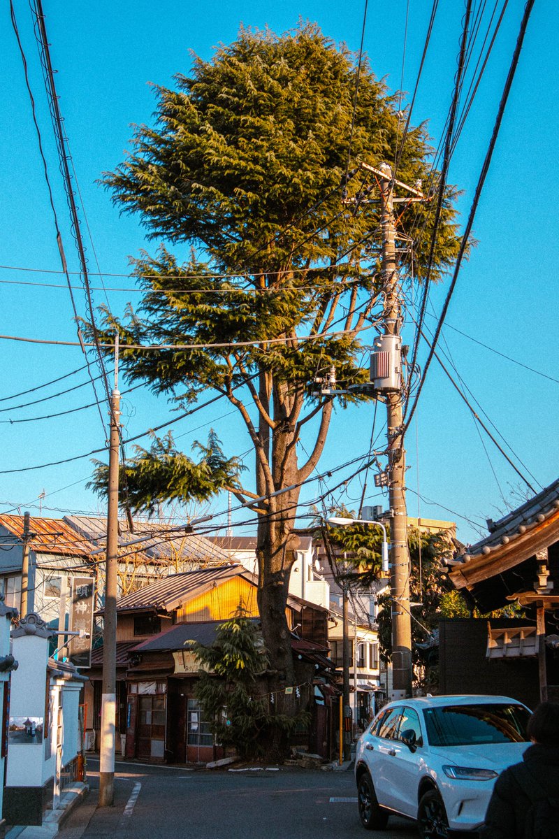 walk closed commissions tweet media