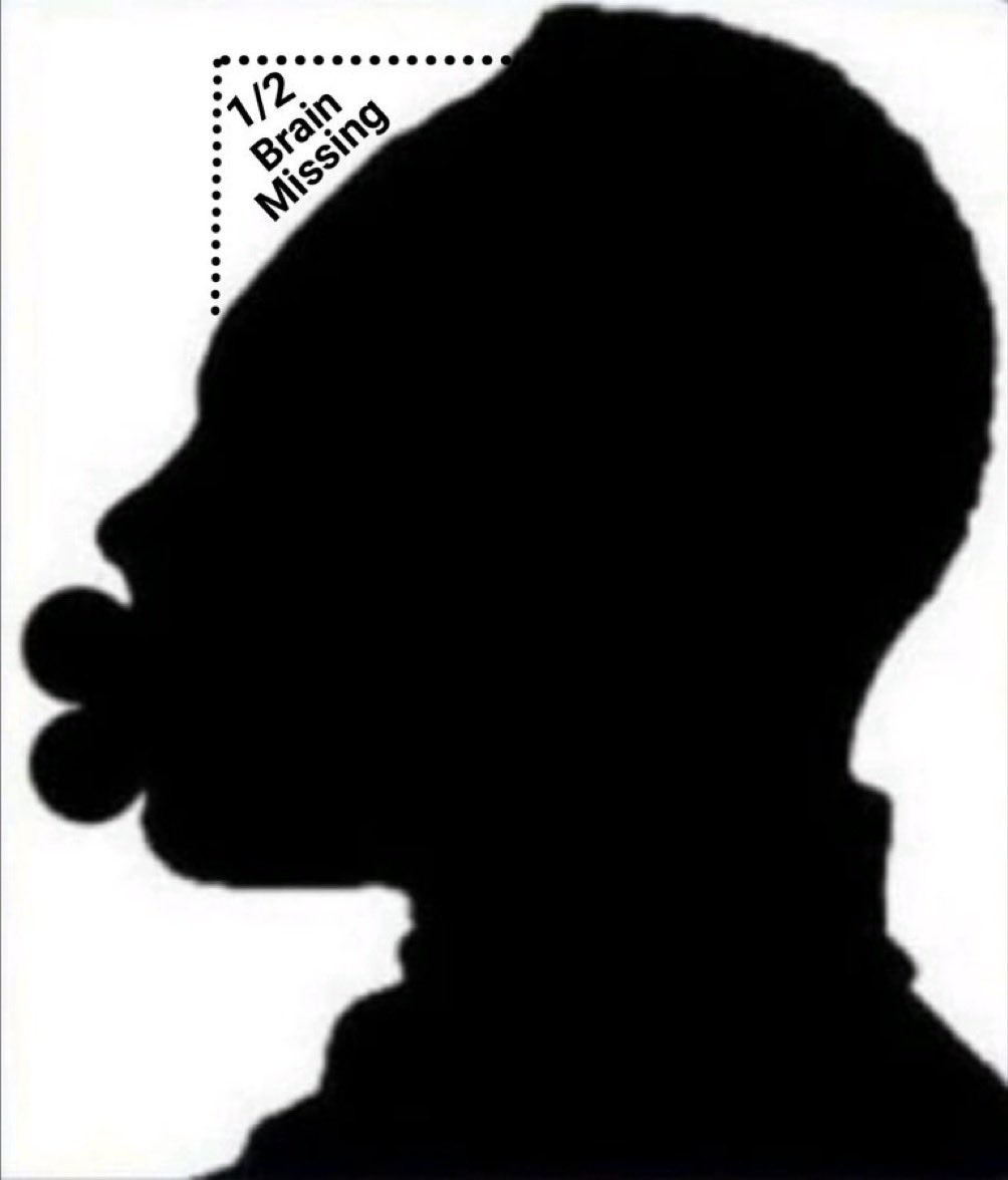 T Cooks 🇺🇸 tweet media