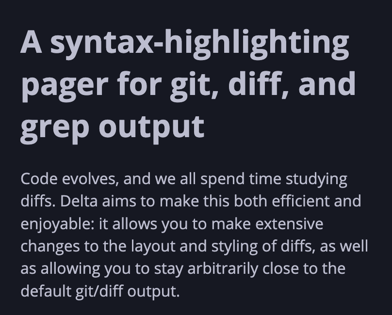 Bee 🐝 tweet media