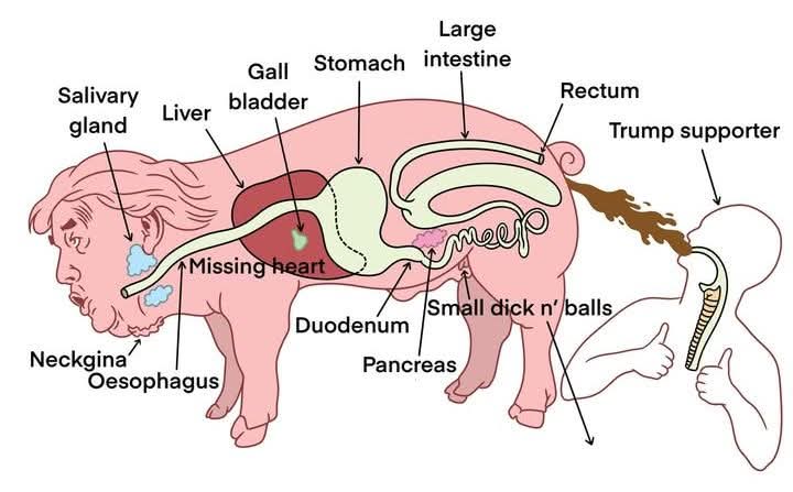 HammerResists tweet media