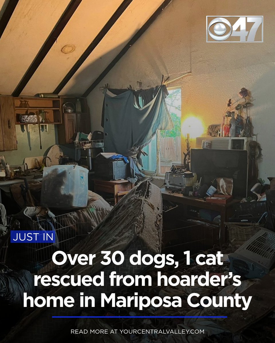 CBS47 News tweet media