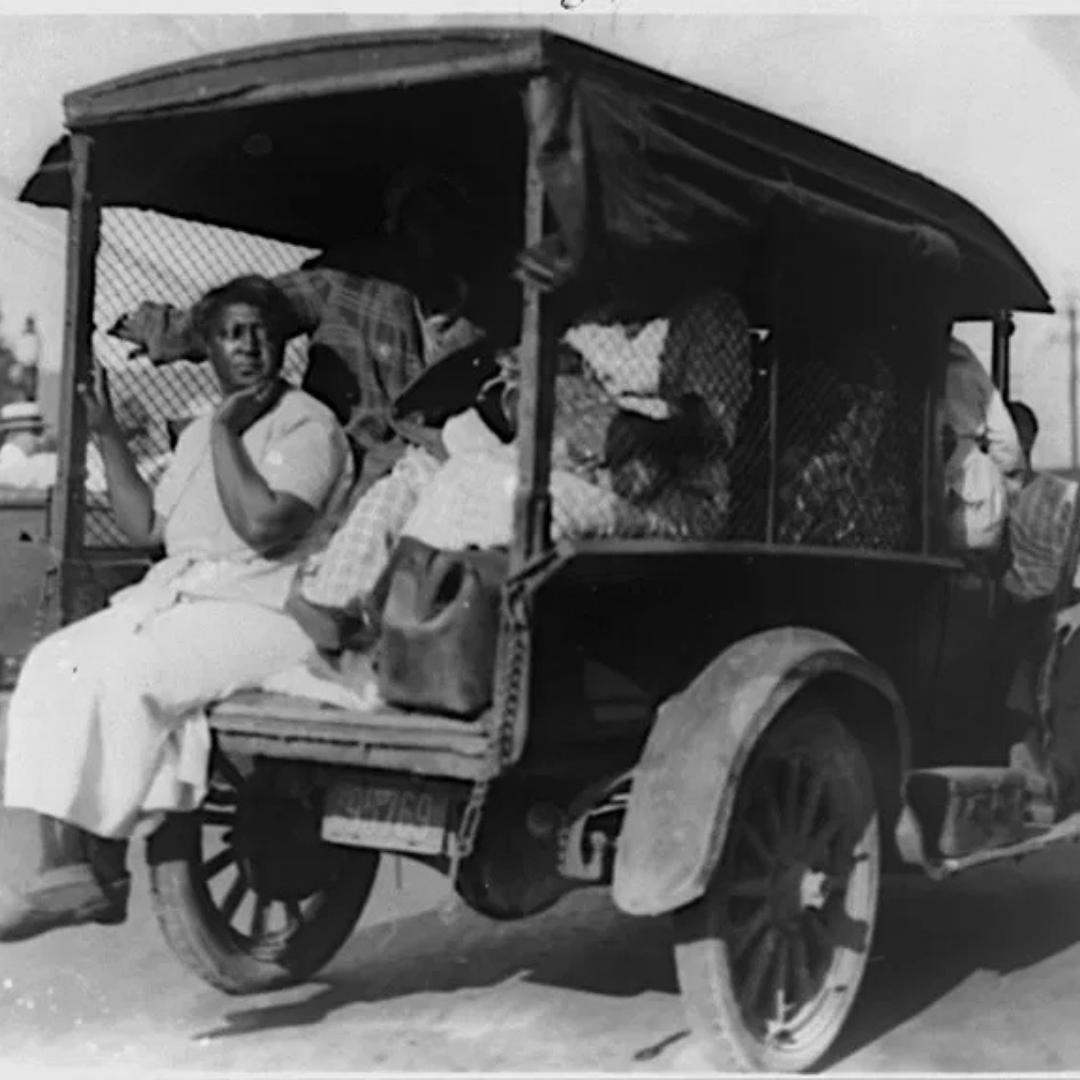 AFRICAN & BLACK HISTORY tweet media