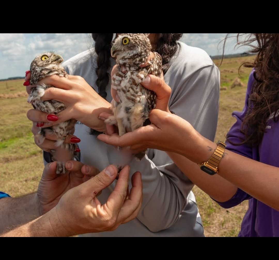 Shelby Varney tweet media