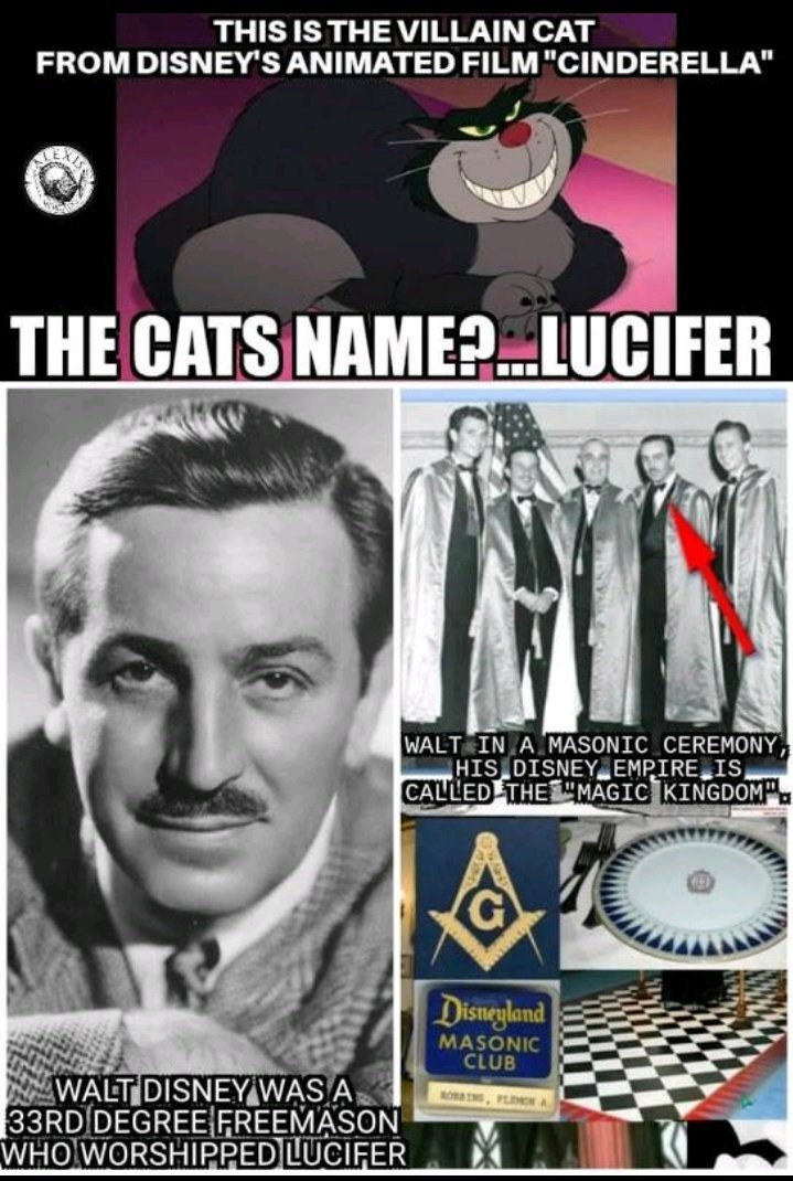 FREEDOM - FREE AMERICA tweet media