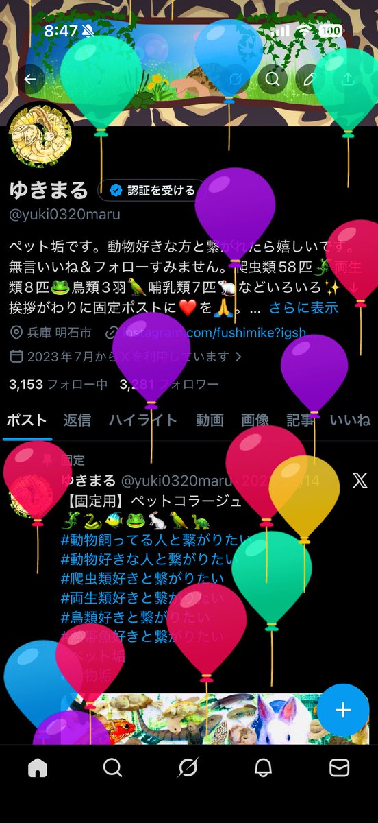 ゆきまる tweet media