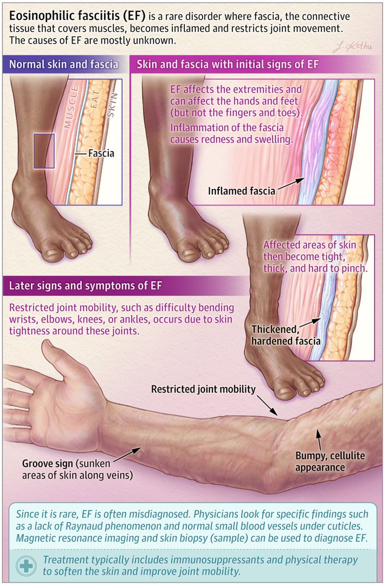 JAMA Dermatology tweet media