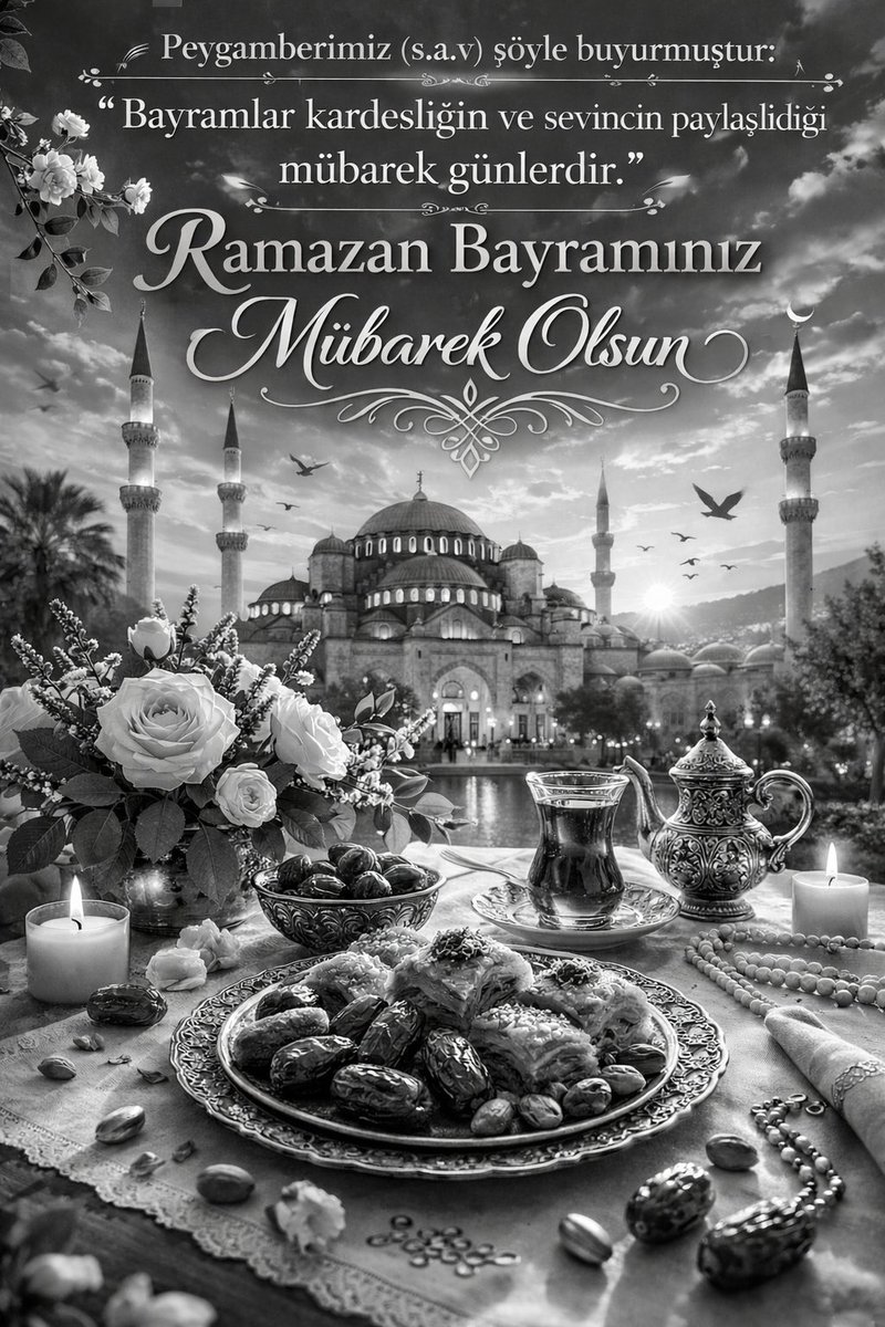 Buse Damla Aras tweet media